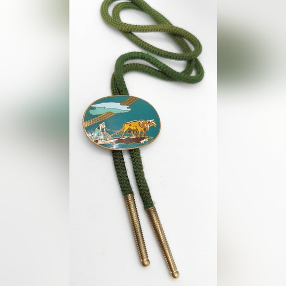 Vintage enamel on brass agricultural bolo tie - Picture 1 of 2